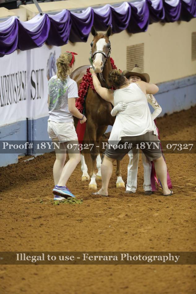 Proof 18YN_07327
