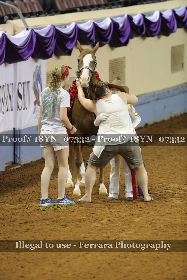 Proof 18YN_07332
