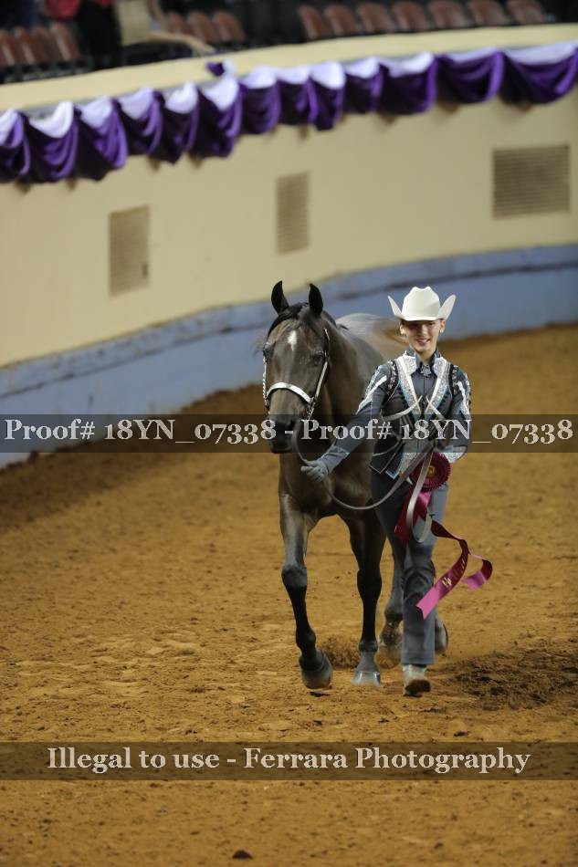 Proof 18YN_07338