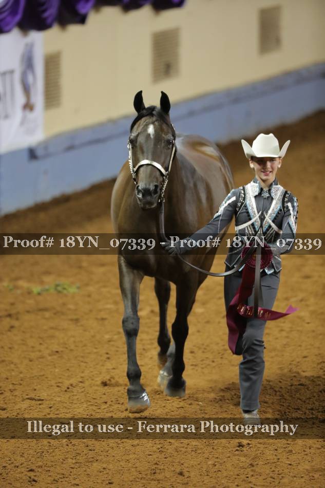 Proof 18YN_07339