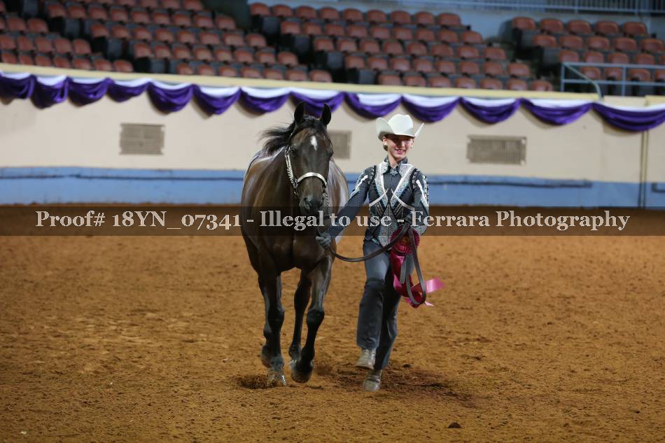 Proof 18YN_07341