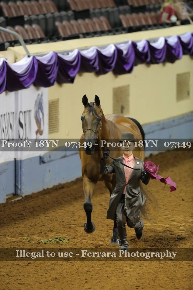 Proof 18YN_07349