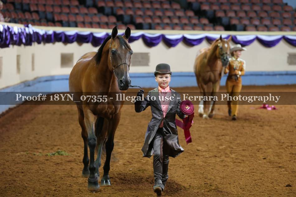 Proof 18YN_07355