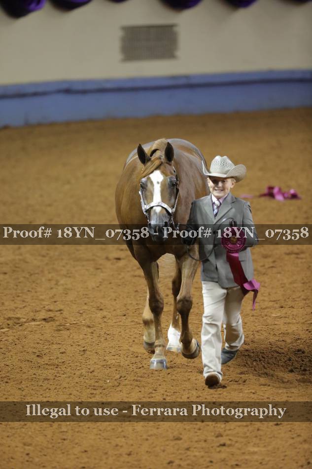 Proof 18YN_07358
