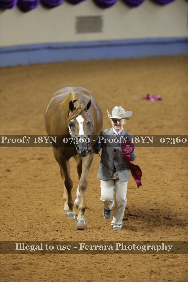 Proof 18YN_07360
