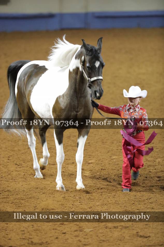 Proof 18YN_07364