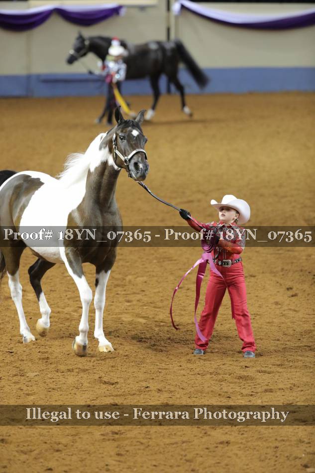 Proof 18YN_07365