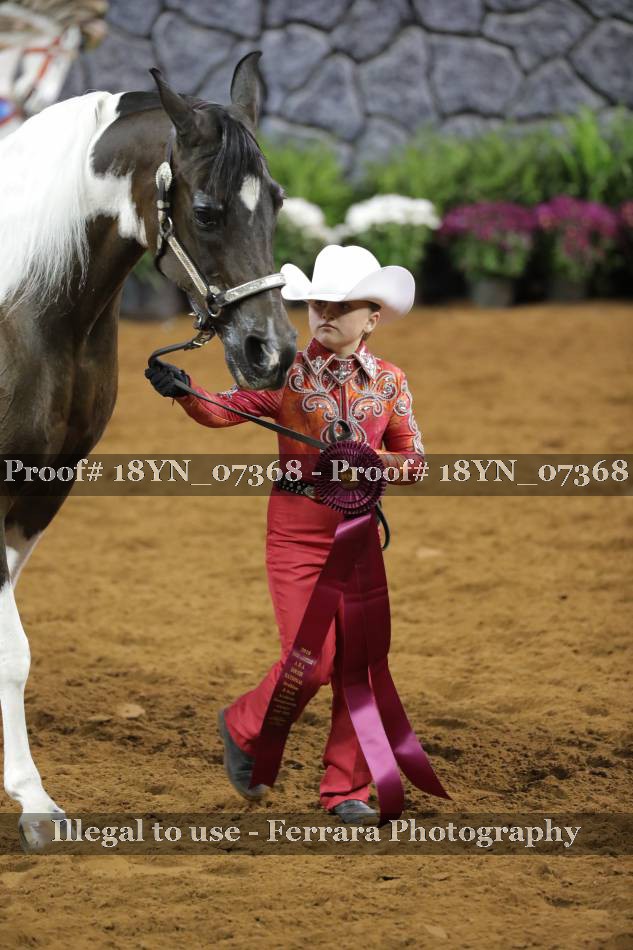 Proof 18YN_07368