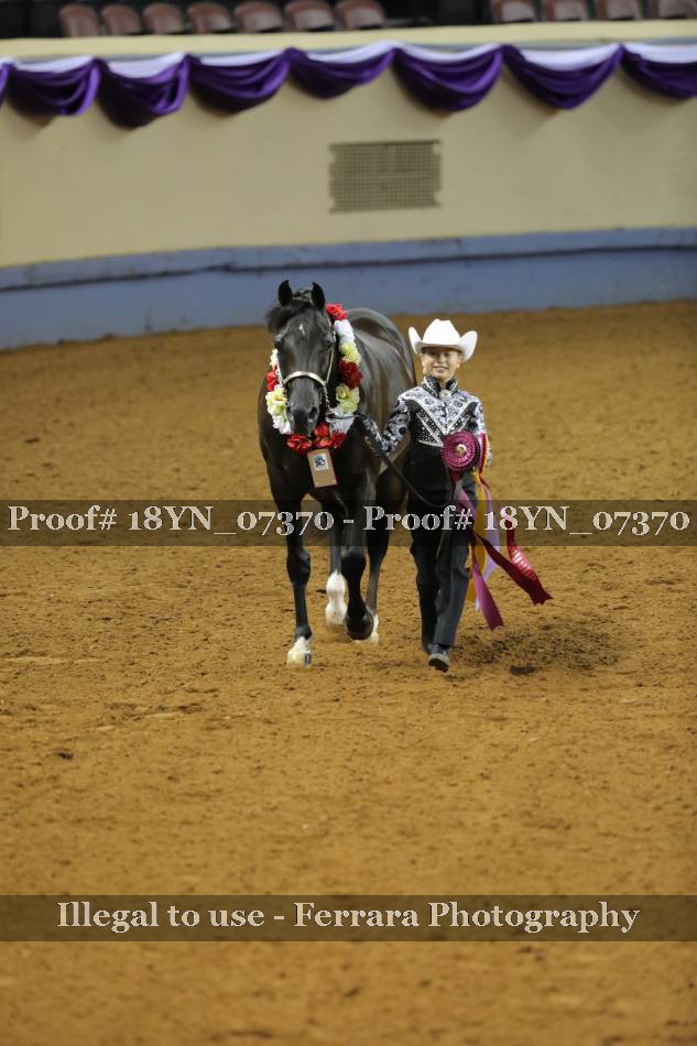 Proof 18YN_07370