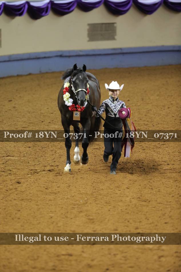 Proof 18YN_07371