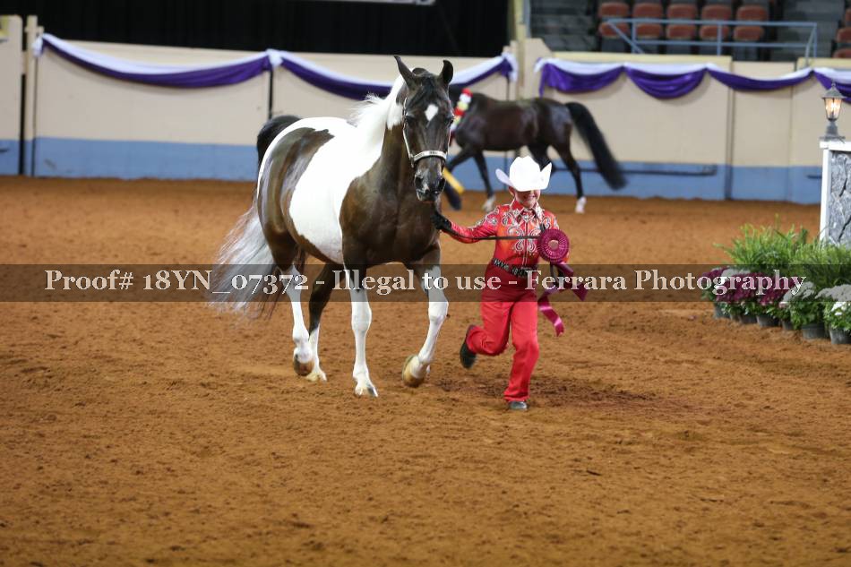 Proof 18YN_07372