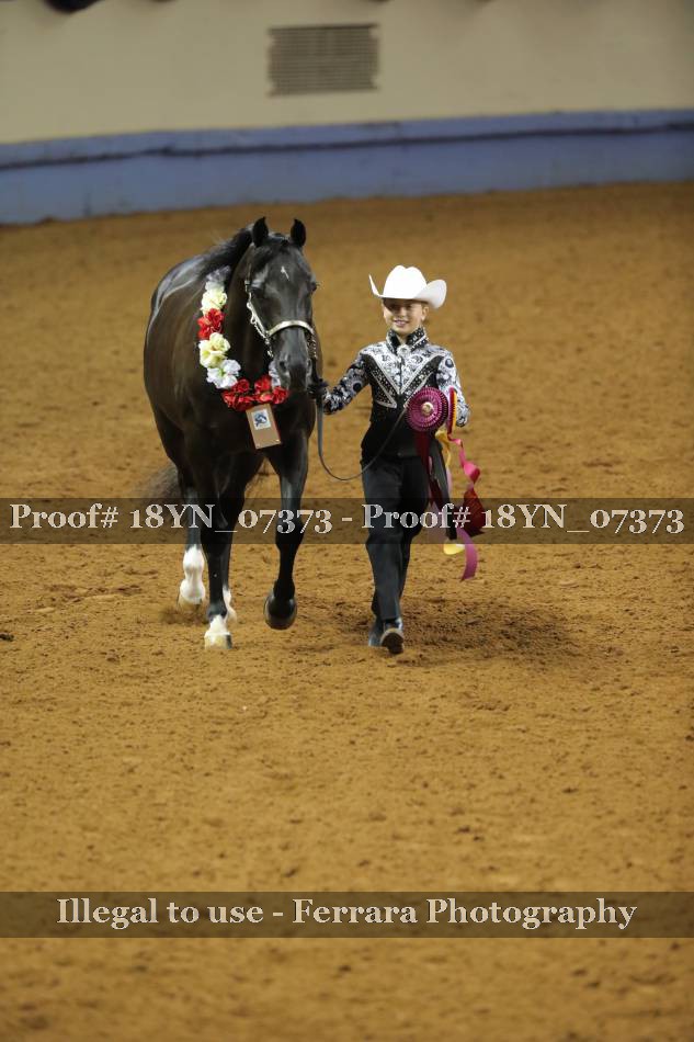 Proof 18YN_07373