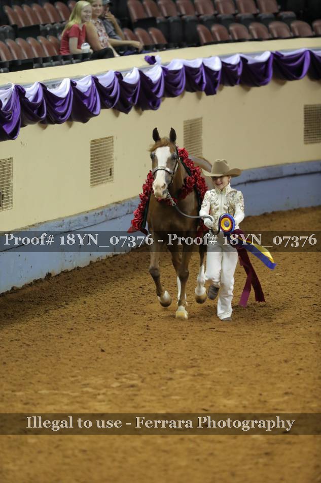 Proof 18YN_07376