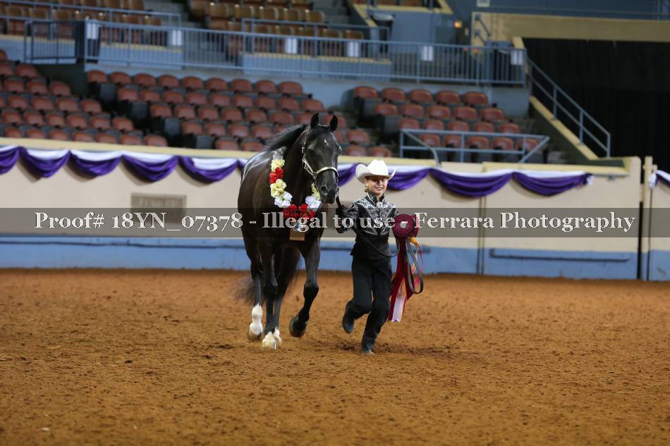 Proof 18YN_07378