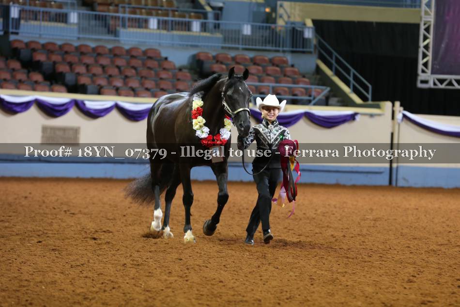 Proof 18YN_07379