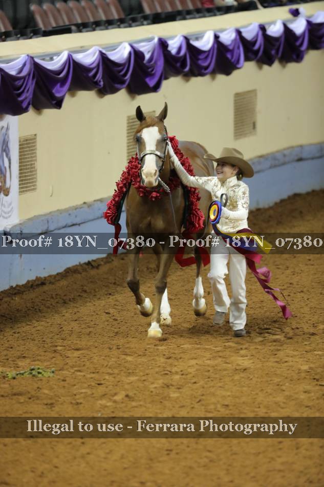 Proof 18YN_07380
