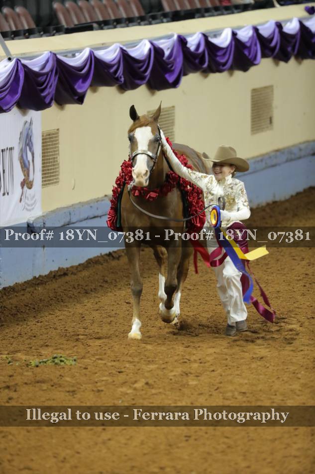 Proof 18YN_07381