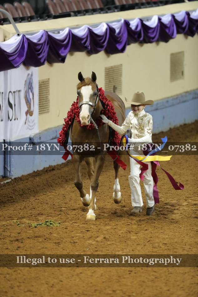 Proof 18YN_07382
