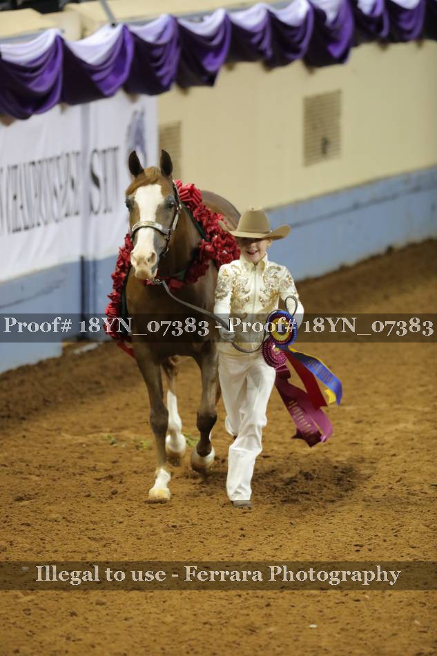 Proof 18YN_07383