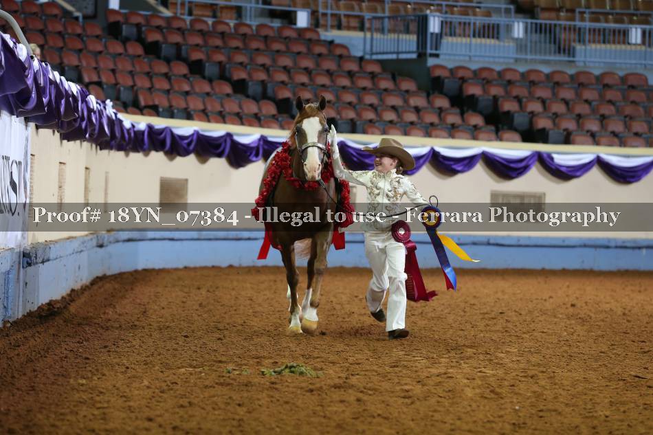 Proof 18YN_07384