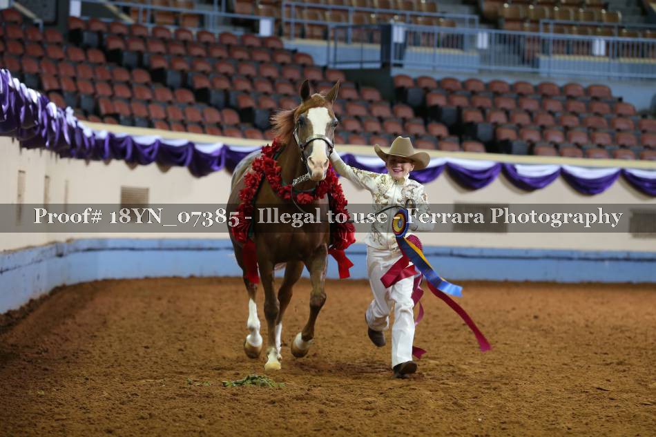 Proof 18YN_07385