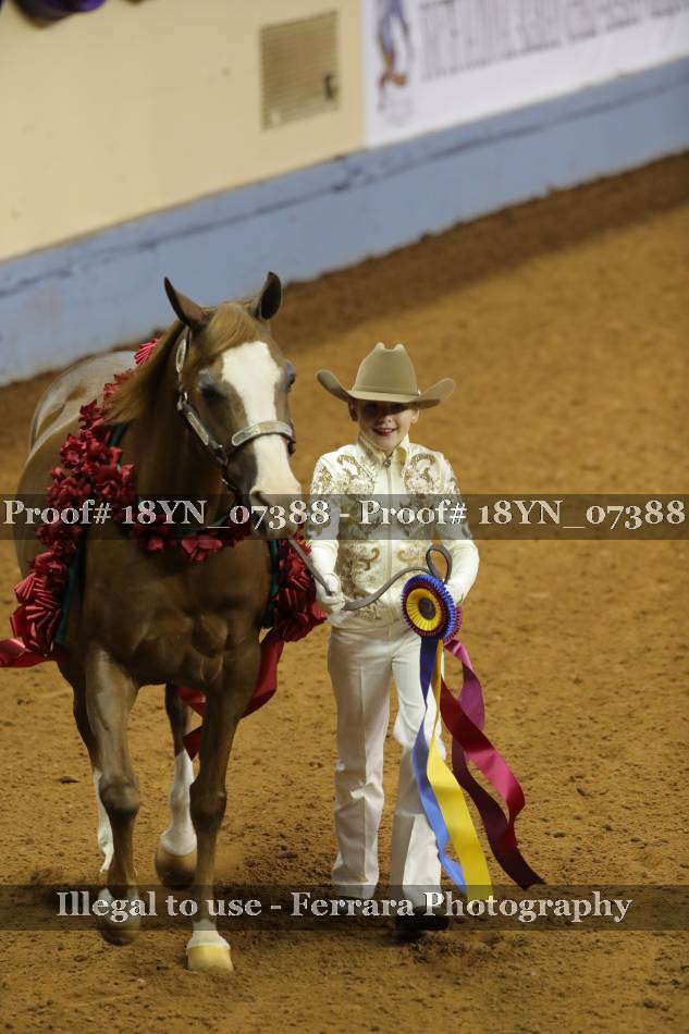 Proof 18YN_07388