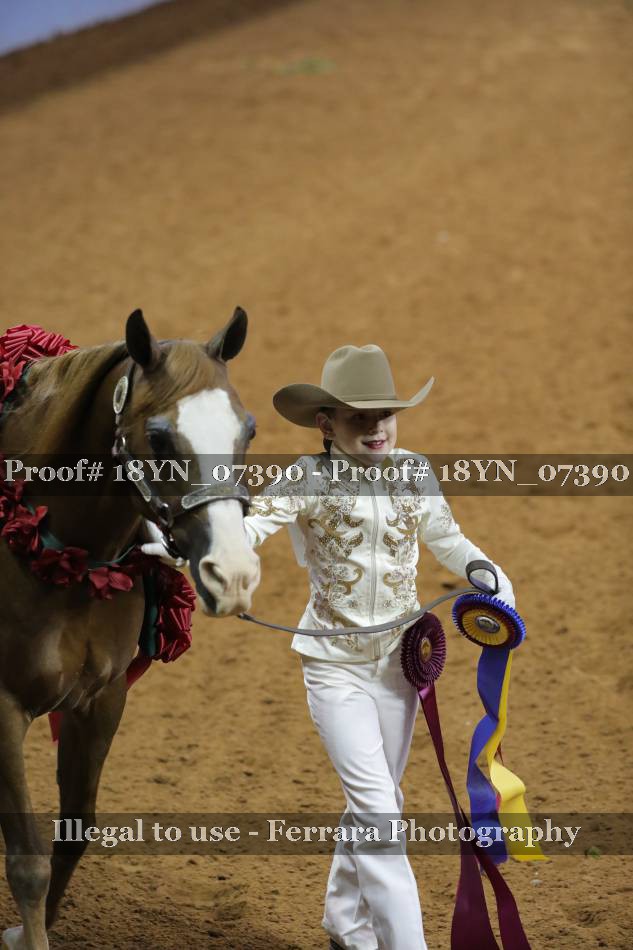 Proof 18YN_07390