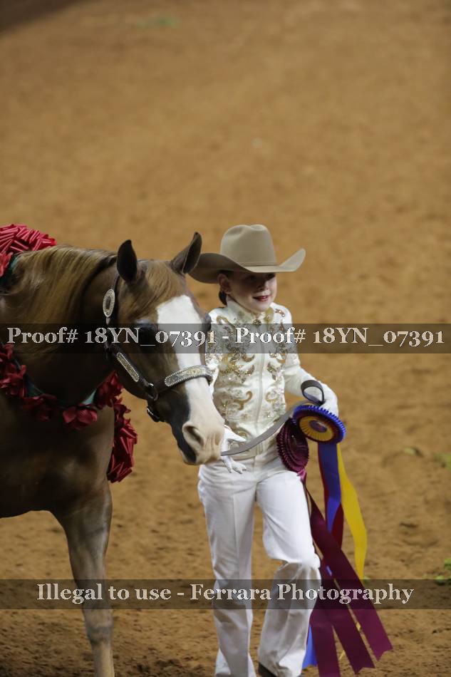 Proof 18YN_07391