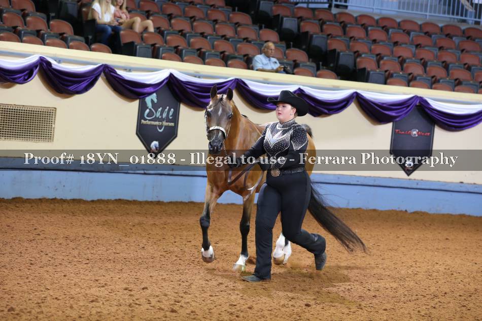 Proof 18YN_01888