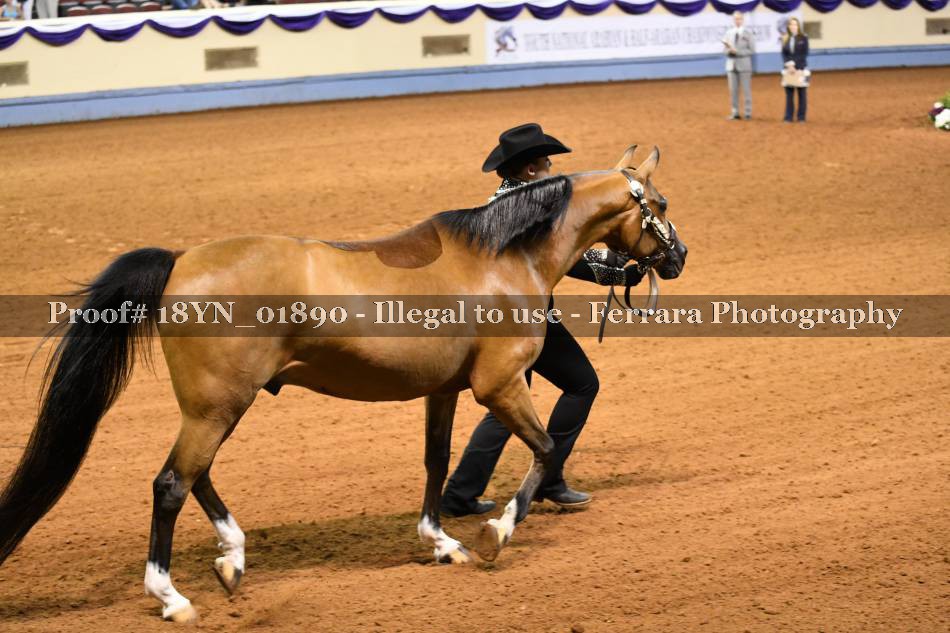 Proof 18YN_01890