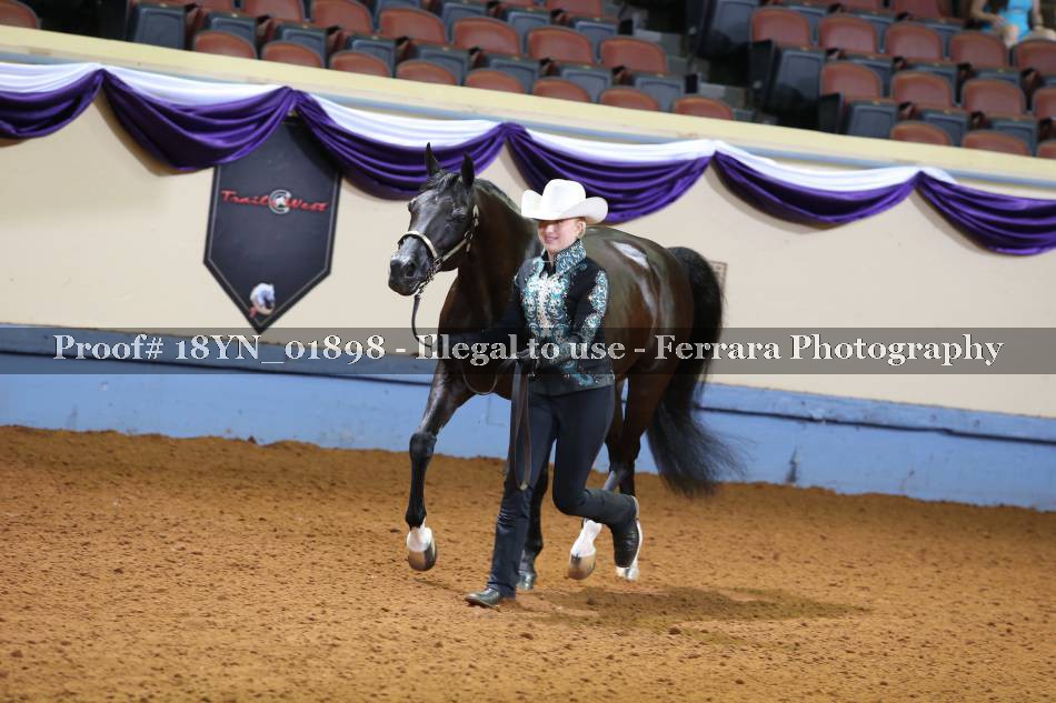 Proof 18YN_01898