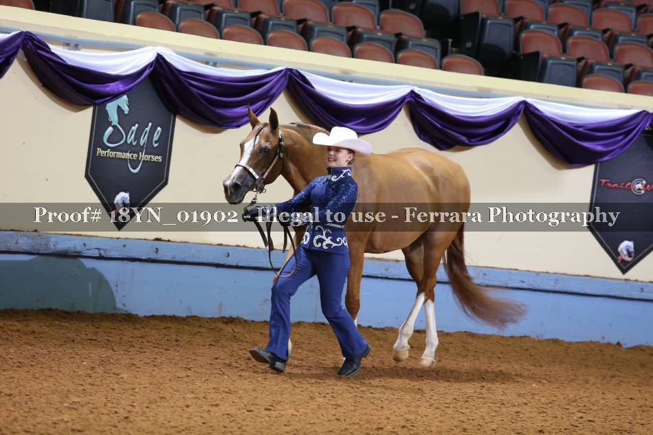 Proof 18YN_01902