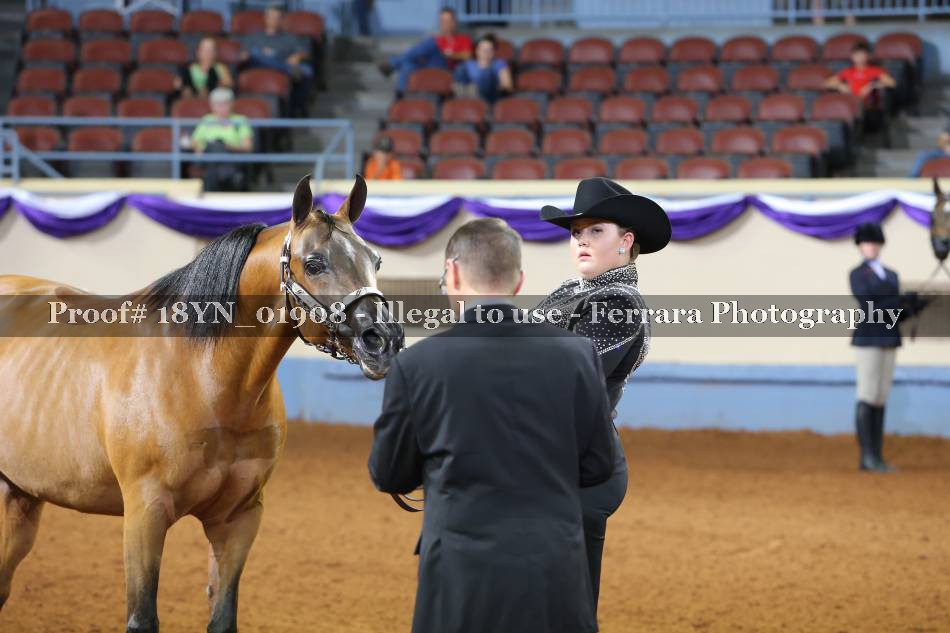 Proof 18YN_01908
