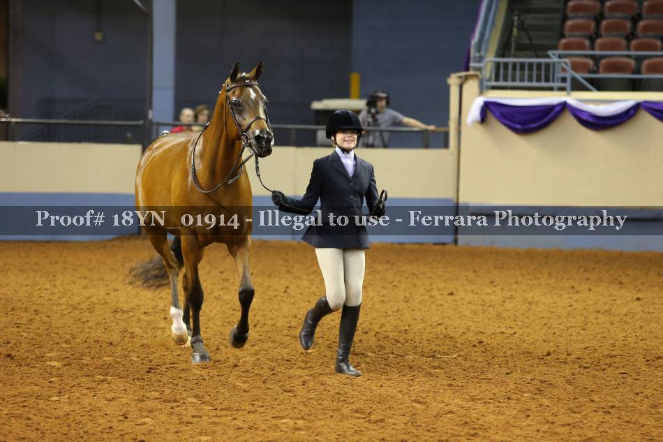 Proof 18YN_01914