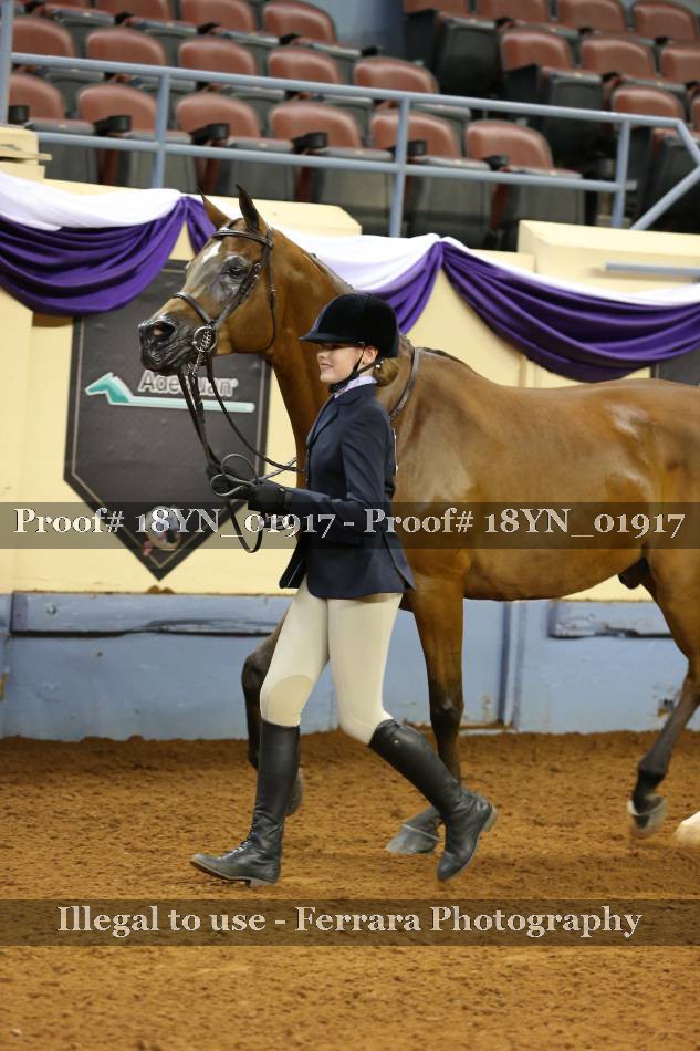 Proof 18YN_01917