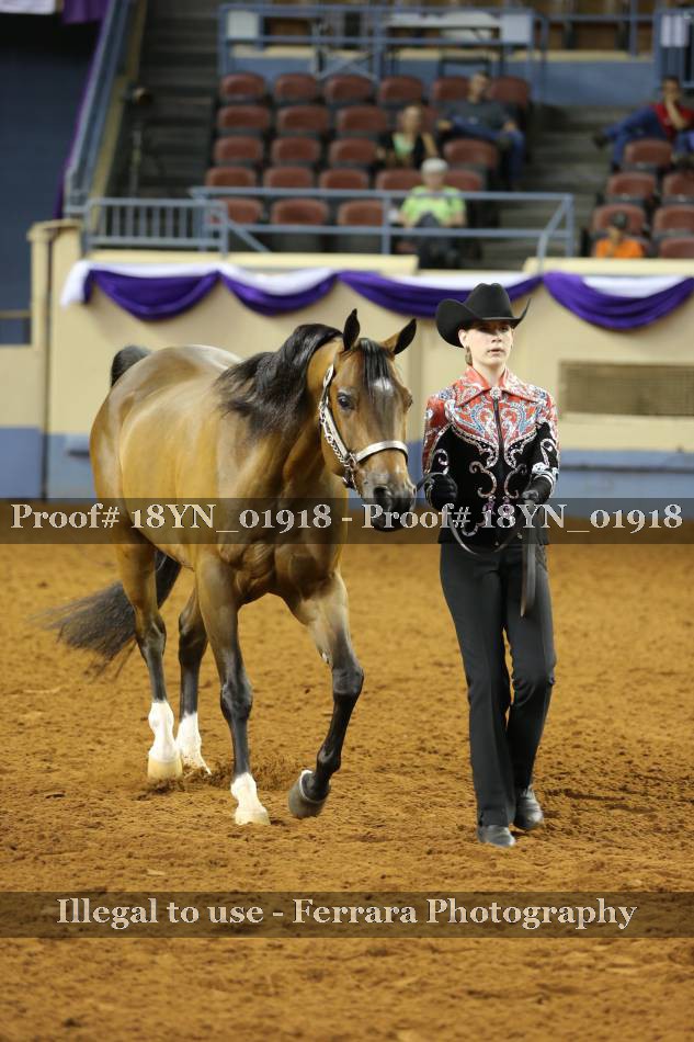 Proof 18YN_01918