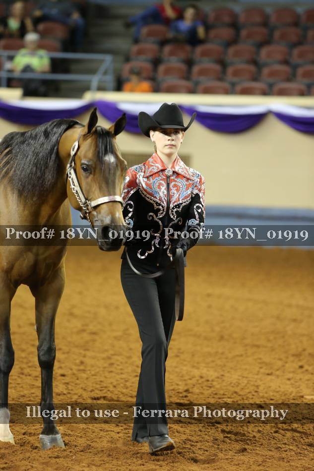 Proof 18YN_01919