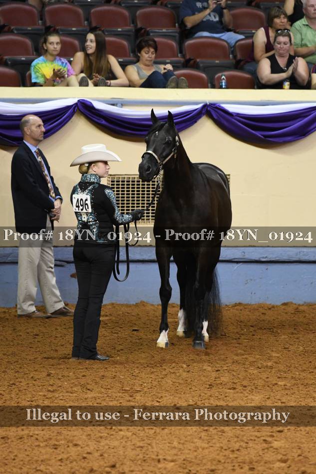 Proof 18YN_01924