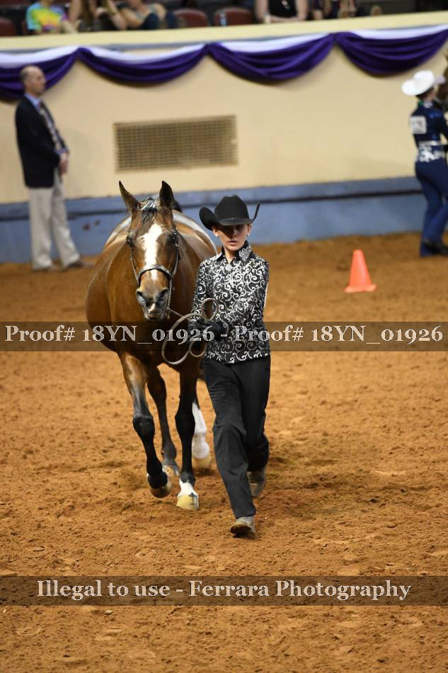 Proof 18YN_01926