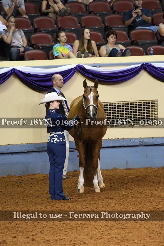 Proof 18YN_01930