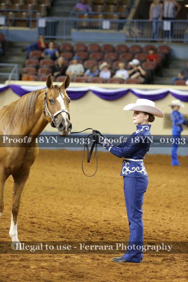 Proof 18YN_01933