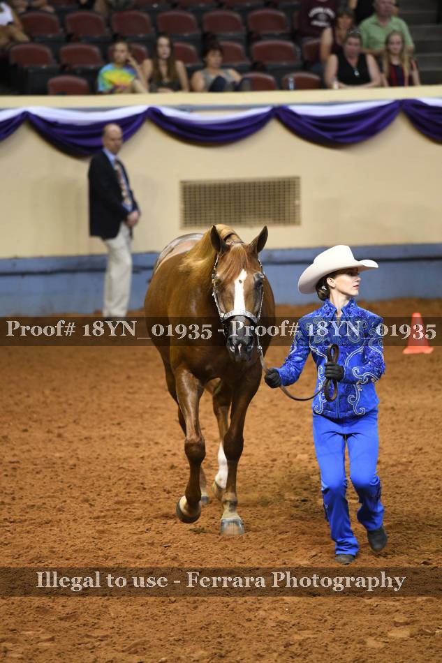 Proof 18YN_01935