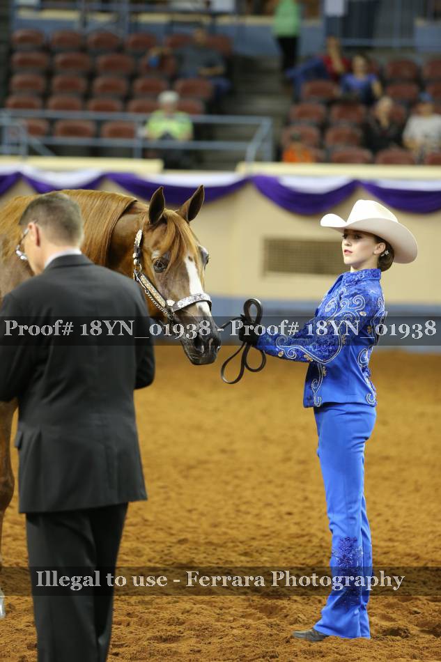 Proof 18YN_01938