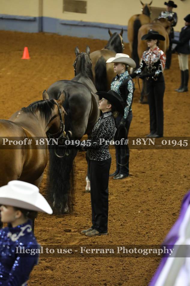 Proof 18YN_01945