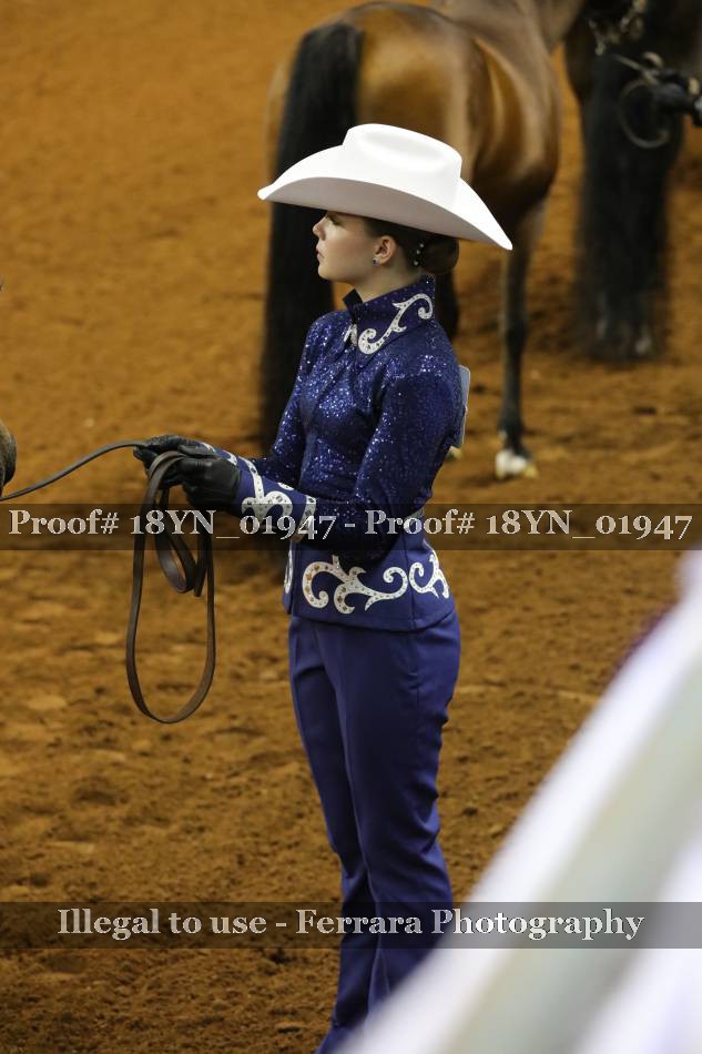 Proof 18YN_01947
