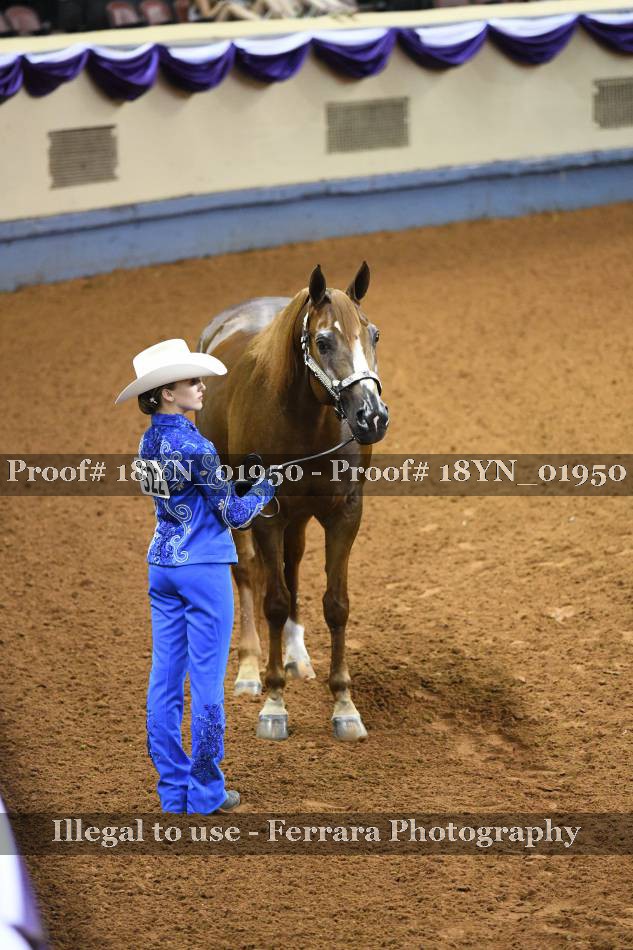Proof 18YN_01950