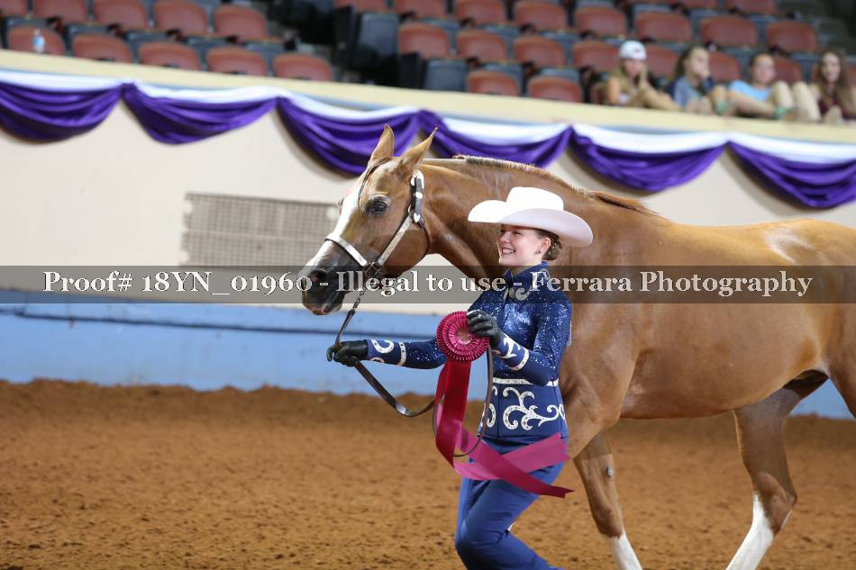 Proof 18YN_01960
