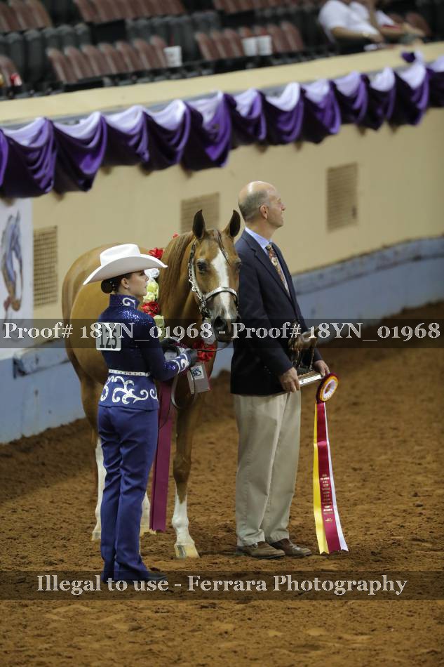 Proof 18YN_01968