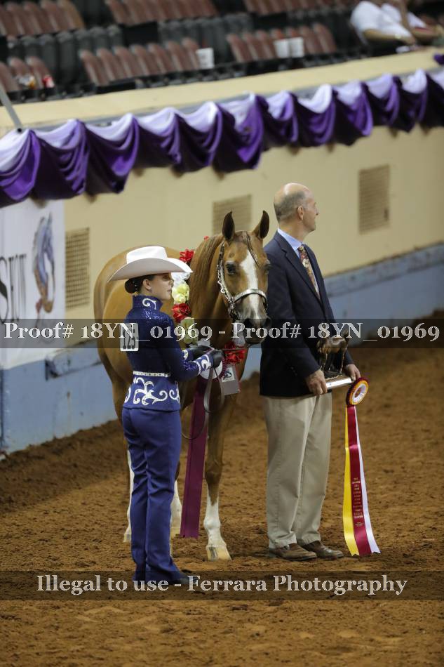 Proof 18YN_01969