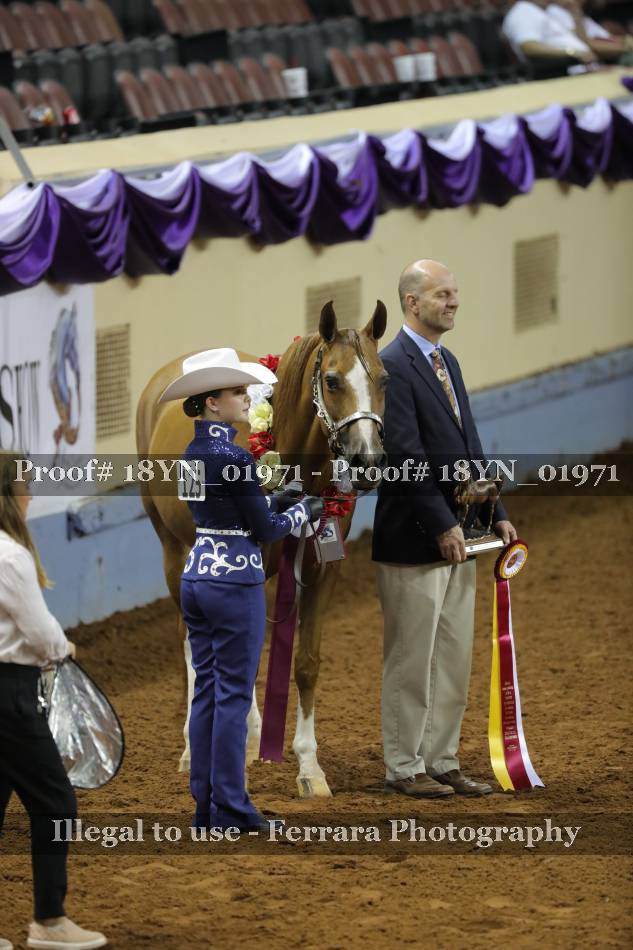 Proof 18YN_01971